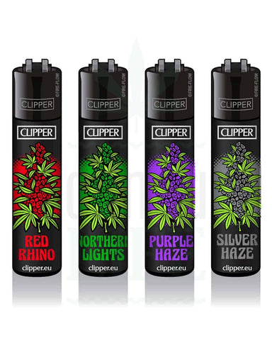 Clipper Large WEED Strains